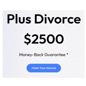 DIVORCE: Plus Plan (4 Monthly Payments of $690)