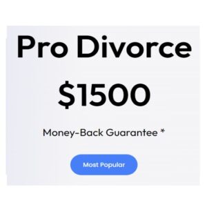 DIVORCE: Pro Plan (4 Monthly Payments of $440)